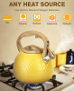 induction cooker horn kettle electric pottery kettle kettle large capacity 3L hot kettle does not contain BPA pot body thickness 0.35mm
